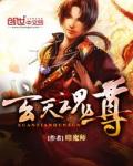 《玄天魂尊》