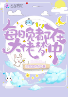 《每晚都在大佬梦中》