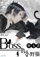 《重生之boss的小野猫》