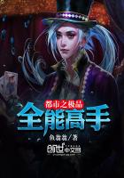 《都市之极品全能高手》