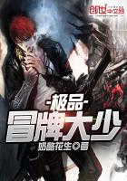 《极品冒牌大少》