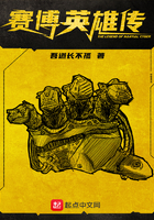 《赛博英雄传》