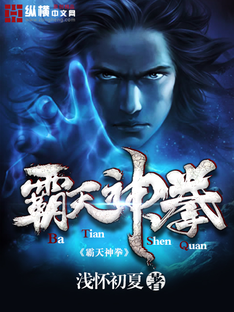《霸天神拳》