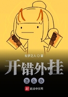 《开错外挂怎么办》
