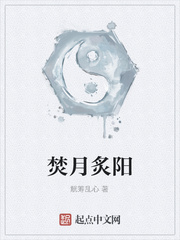 《焚月炙阳》
