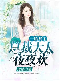 《一胎双宝：总裁大人夜夜欢》