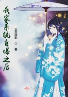 《我家系统自爆之后》