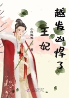 《王妃越发凶悍了》
