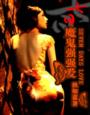 《七日,魔鬼强强爱》