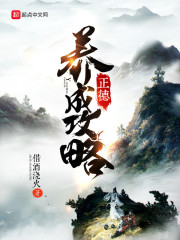 《正德养成攻略》