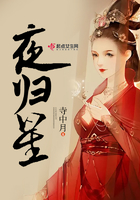 《夜归星》