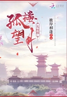 《孤楼望月几时圆》