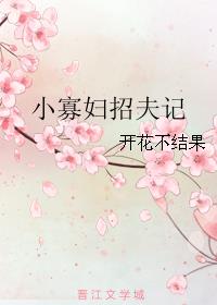 《小寡妇招夫记》