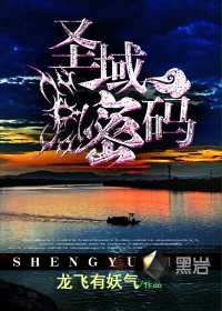 《圣域密码》
