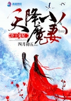 《冷王宠妃：天降小魔妻》