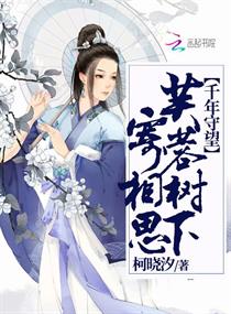 《千年守望：芙蓉树下寄相思》