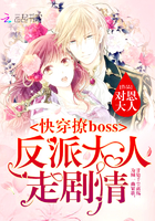 《快穿撩boss：反派大人走剧情》