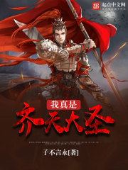 《我真是齐天大圣》