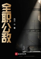 《全职公敌》