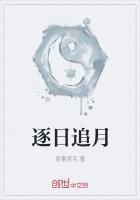 《逐日追月》
