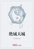 《绝域天城》