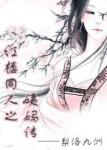 《红楼同人之姨妈传》