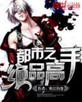 《都市之绝品高手》