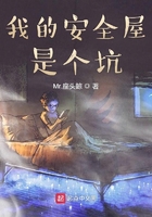 《我的安全屋是个坑》