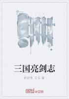 《三国亮剑志》