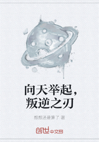 《向天举起，叛逆之刃》