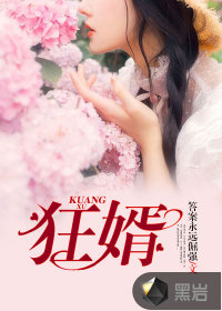 《狂婿》
