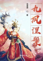 《九凤涅盘》