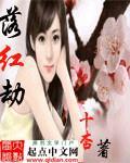 《落红劫》