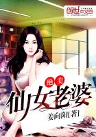 《绝美仙女老婆》