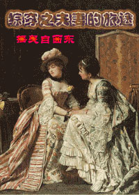 《综穿之夫妻的旅途》