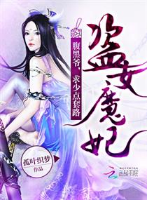 《盗女魔妃：腹黑爷，求少点套路》