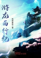 《游龙西行纪》