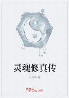 《灵魂修真传》