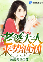 《老婆大人来势汹汹》