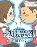 《大帅哥驾到》