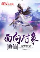 《面向对象修仙》