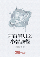 《神奇宝贝之我是小智》