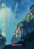 《西游之大道宝瓶》
