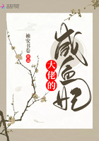 《大佬的咸鱼妃》