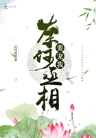 《奈何丞相要宠我》