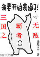 《三国之霸者无敌》