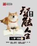 大宋桃花使
