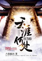 《天涯何处不飞仙》