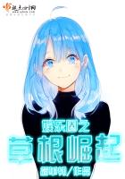 《娱乐圈之草根崛起》